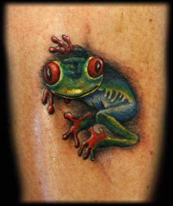 Angel Caban - Tree frog